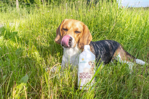 Naturmoor für Tiere 1000 ml