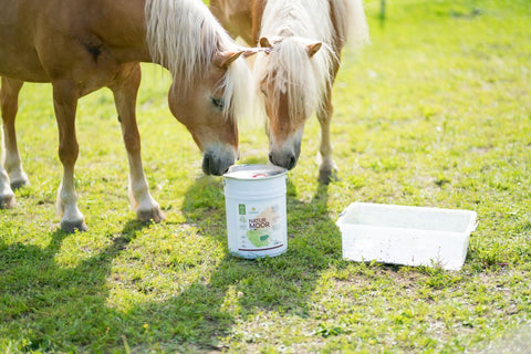 Naturmoor für Tiere 18 l