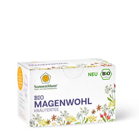 Bio Magenwohl Kräutertee 34 g